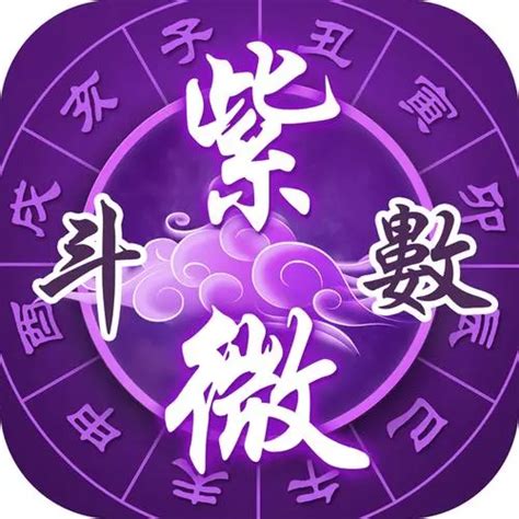 向紫微|紫微斗数｜零基础入门——一篇讲透命盘12要素（建议收藏！